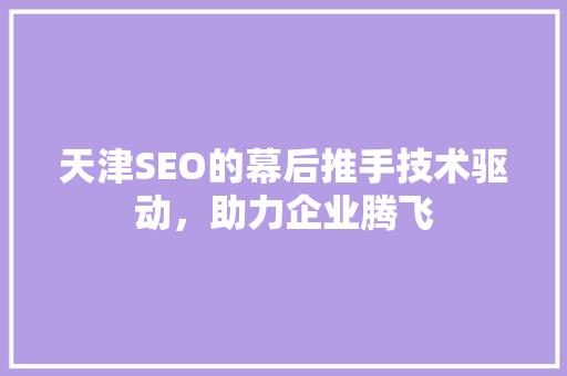 天津SEO的幕后推手技术驱动，助力企业腾飞