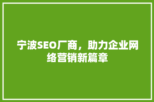 宁波SEO厂商，助力企业网络营销新篇章