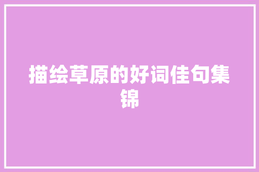 定州SEO优化之路打造网站流量增长引擎