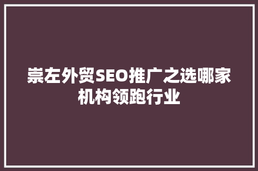 崇左外贸SEO推广之选哪家机构领跑行业