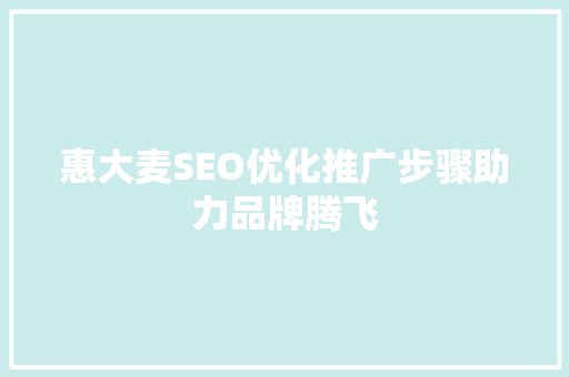 惠大麦SEO优化推广步骤助力品牌腾飞