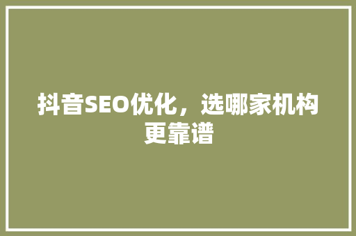 抖音SEO优化，选哪家机构更靠谱