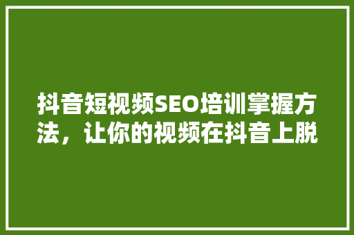 抖音短视频SEO培训掌握方法，让你的视频在抖音上脱颖而出  第1张