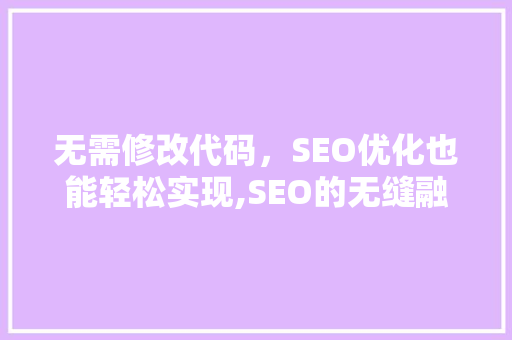 无需修改代码，SEO优化也能轻松实现,SEO的无缝融合之路
