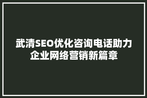 武清SEO优化咨询电话助力企业网络营销新篇章