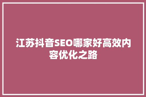 江苏抖音SEO哪家好高效内容优化之路