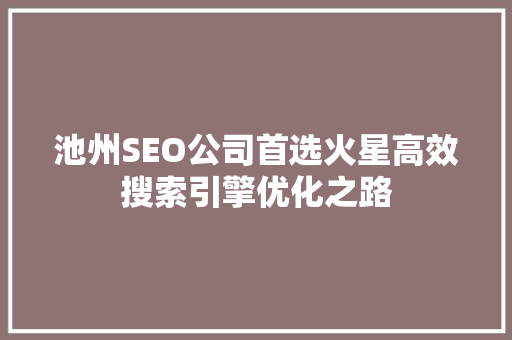 池州SEO公司首选火星高效搜索引擎优化之路