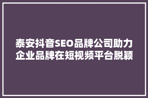 泰安抖音SEO品牌公司助力企业品牌在短视频平台脱颖而出
