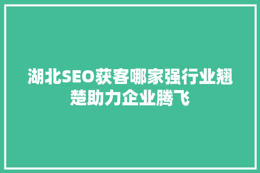 湖北SEO获客哪家强行业翘楚助力企业腾飞