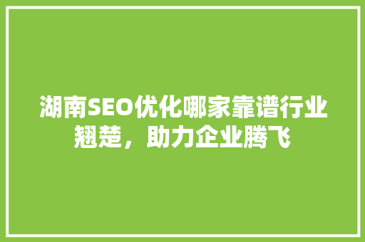湖南SEO优化哪家靠谱行业翘楚，助力企业腾飞