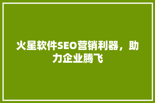 火星软件SEO营销利器，助力企业腾飞  第1张