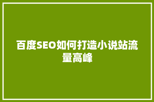 百度SEO如何打造小说站流量高峰