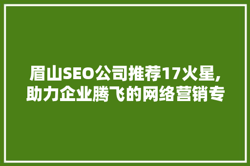 眉山SEO公司推荐17火星,助力企业腾飞的网络营销专家