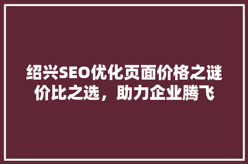 绍兴SEO优化页面价格之谜价比之选，助力企业腾飞