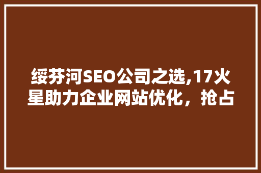 绥芬河SEO公司之选,17火星助力企业网站优化，抢占互联网市场先机  第1张