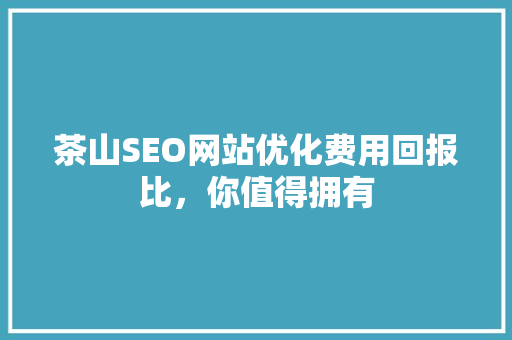 茶山SEO网站优化费用回报比，你值得拥有
