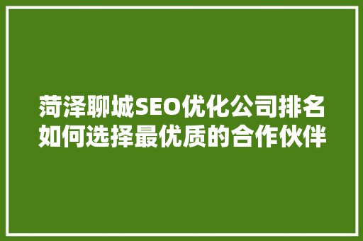 菏泽聊城SEO优化公司排名如何选择最优质的合作伙伴