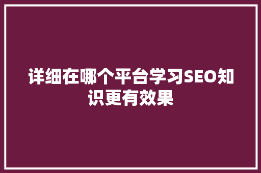 详细在哪个平台学习SEO知识更有效果