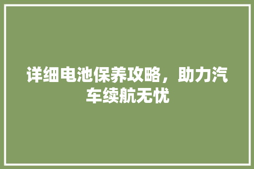 详细电池保养攻略，助力汽车续航无忧
