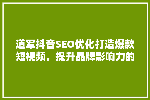 道军抖音SEO优化打造爆款短视频，提升品牌影响力的方法