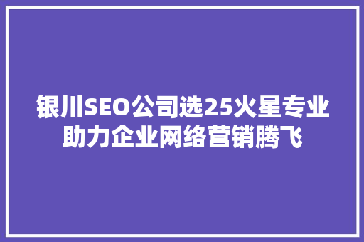 银川SEO公司选25火星专业助力企业网络营销腾飞