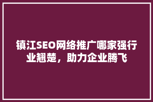 镇江SEO网络推广哪家强行业翘楚，助力企业腾飞