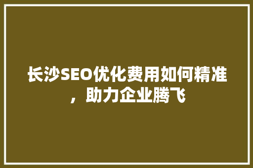 长沙SEO优化费用如何精准，助力企业腾飞
