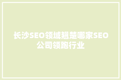 长沙SEO领域翘楚哪家SEO公司领跑行业