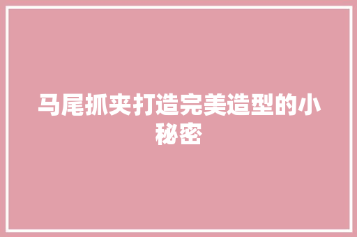 马尾抓夹打造完美造型的小秘密  第1张