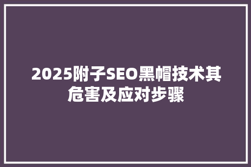 2025附子SEO黑帽技术其危害及应对步骤