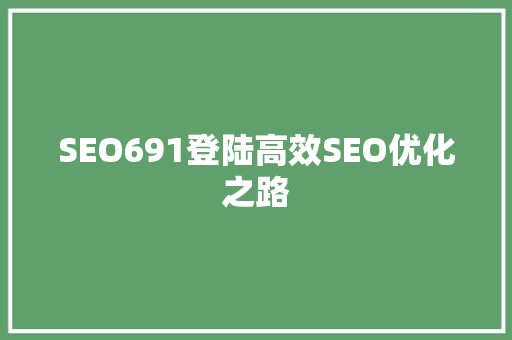 SEO691登陆高效SEO优化之路