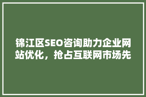 锦江区SEO咨询助力企业网站优化，抢占互联网市场先机