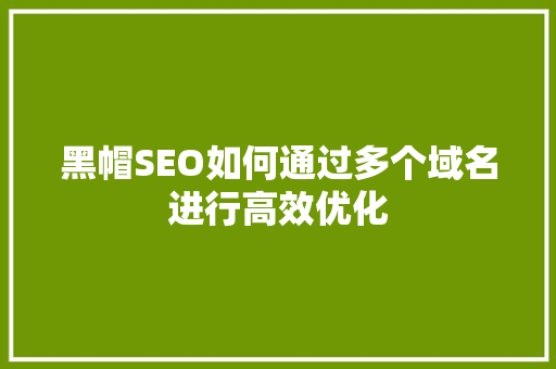 黑帽SEO如何通过多个域名进行高效优化