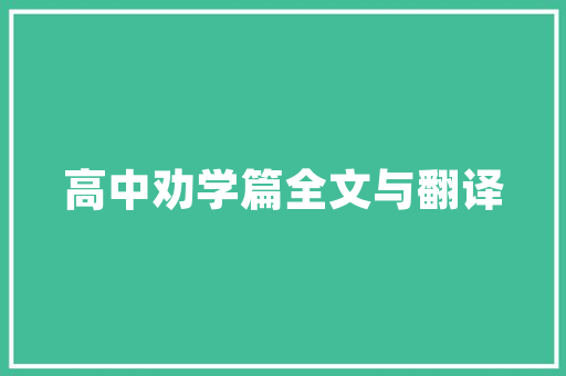 iPhone版SEO优化工具助力网站优化，提升搜索引擎排名