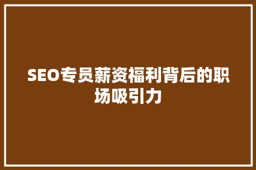 SEO专员薪资福利背后的职场吸引力