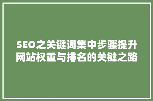 SEO之关键词集中步骤提升网站权重与排名的关键之路