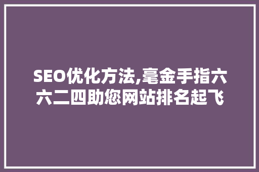 SEO优化方法,毫金手指六六二四助您网站排名起飞