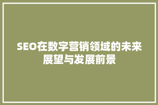 SEO在数字营销领域的未来展望与发展前景