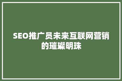 SEO推广员未来互联网营销的璀璨明珠