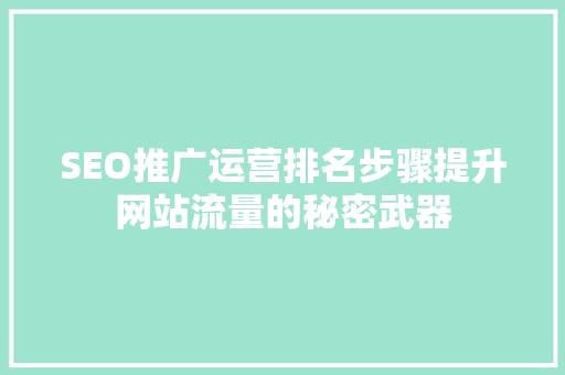 SEO推广运营排名步骤提升网站流量的秘密武器