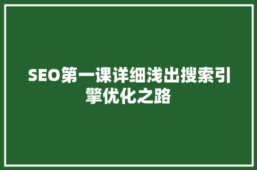 SEO第一课详细浅出搜索引擎优化之路
