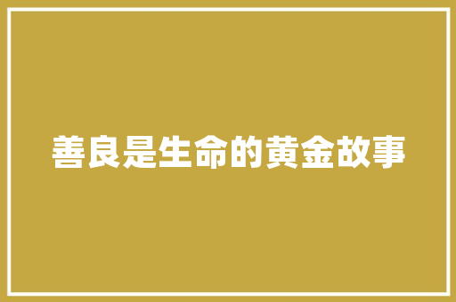 SEO艺术搜索引擎优化之路