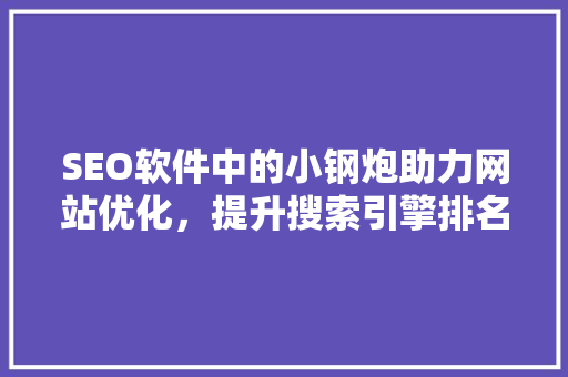 SEO软件中的小钢炮助力网站优化，提升搜索引擎排名的利器