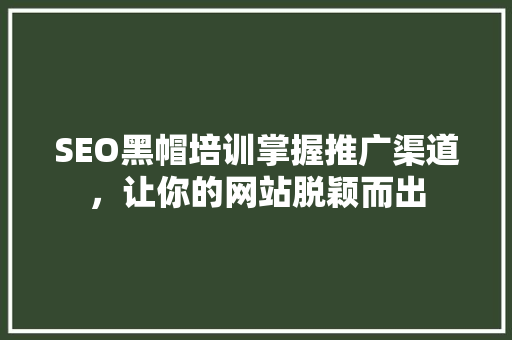 SEO黑帽培训掌握推广渠道，让你的网站脱颖而出