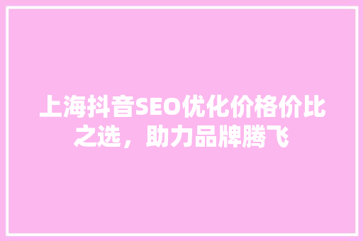 上海抖音SEO优化价格价比之选，助力品牌腾飞