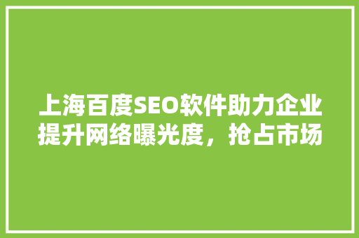 上海百度SEO软件助力企业提升网络曝光度，抢占市场先机