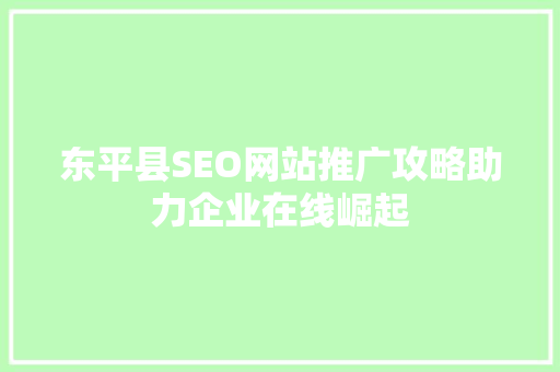 东平县SEO网站推广攻略助力企业在线崛起