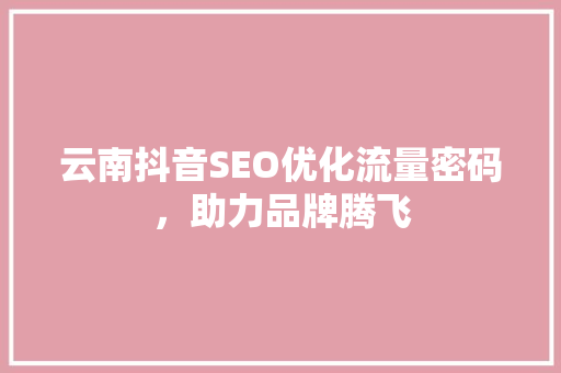 云南抖音SEO优化流量密码，助力品牌腾飞