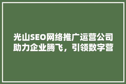 光山SEO网络推广运营公司助力企业腾飞，引领数字营销新潮流