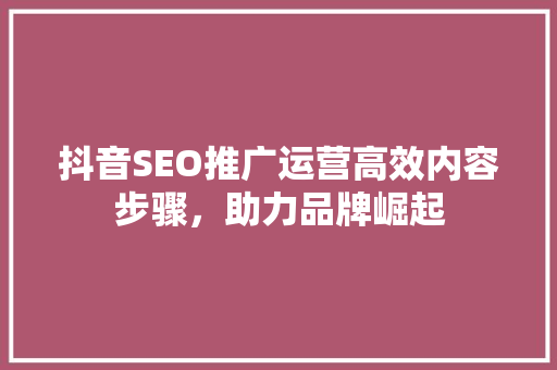 抖音SEO推广运营高效内容步骤，助力品牌崛起